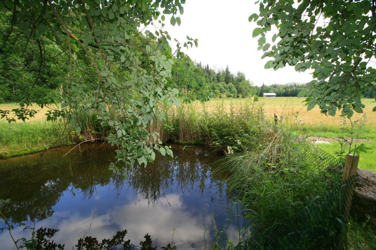 Landgasthof Auerschmiede Irschenberg Eksteriør billede